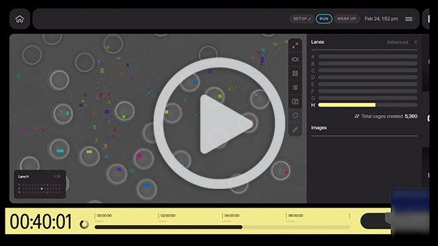 CellCageTM Enclosures: Fluorescence Imaging