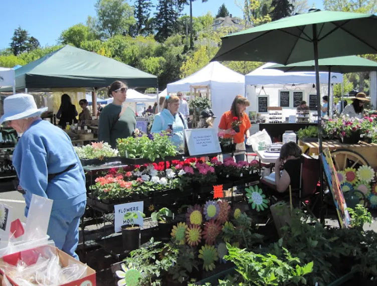 market