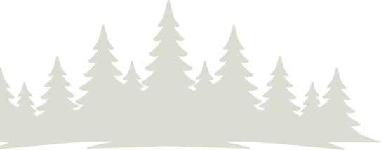 Silhouette of green fir trees in a forest against a transparent background.