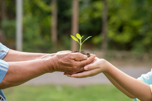Día Mundial del Medio Ambiente