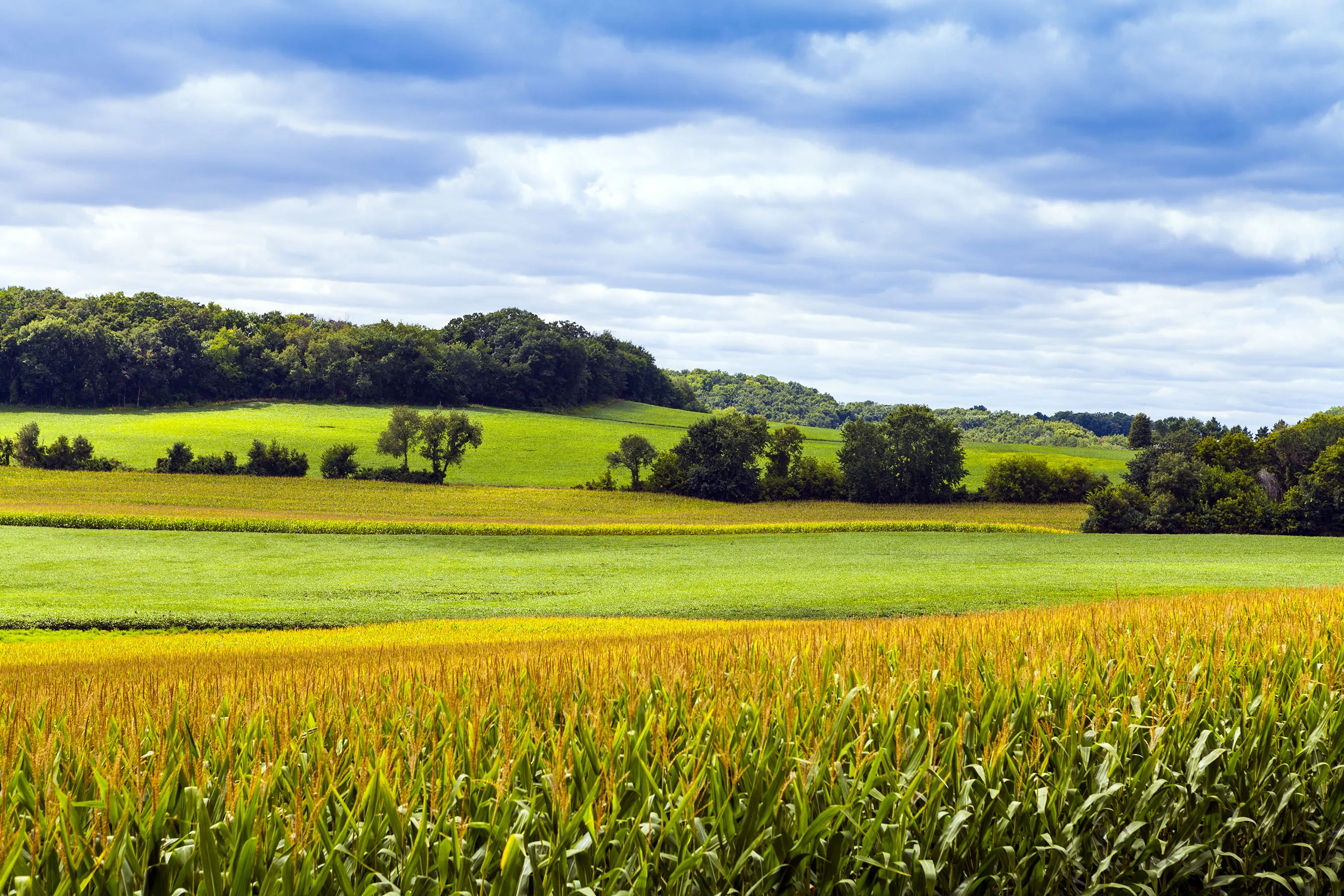 Explore sustainable farming practices