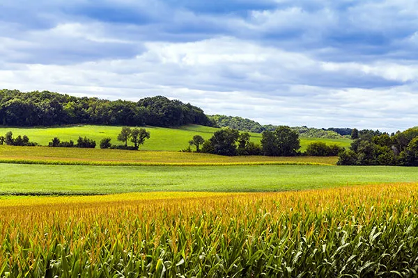 Discover The Green Horizon: Eco-Friendly Solutions for a Sustainable Future