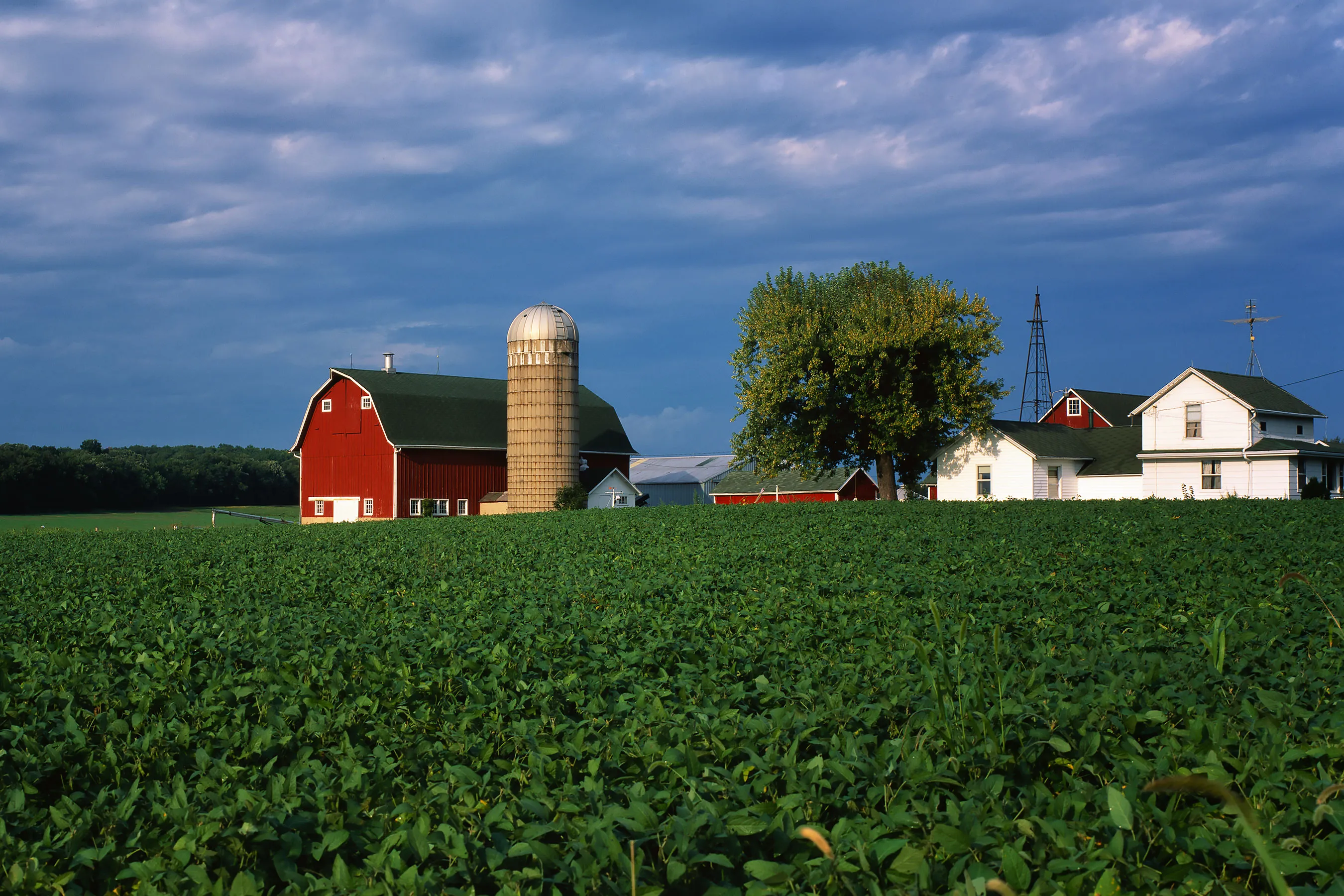 Kirk Carls, the owner of Ag Organic, based in Springfield, Illinois