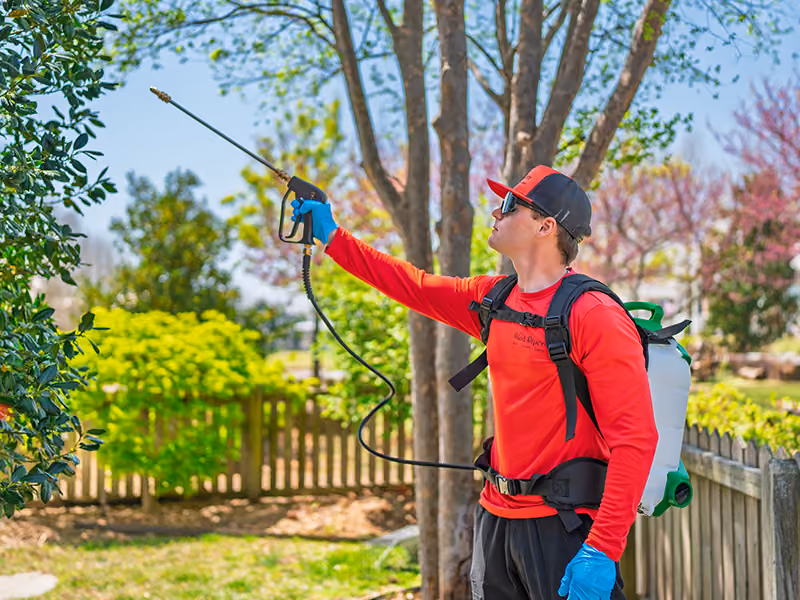 Pest control worker spraying for mosquitoes on bushes in a backyard