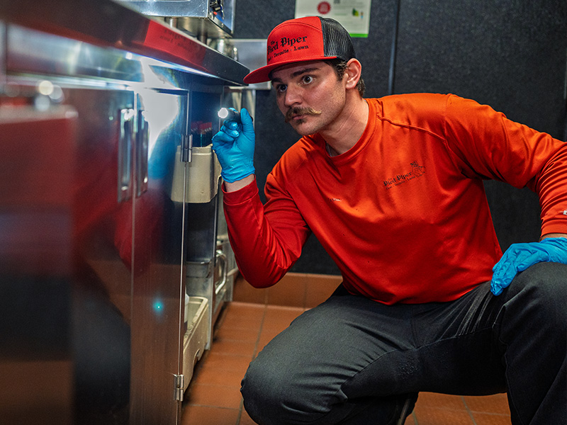 local pest control pro inspecting commercial kitchen