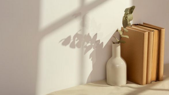 Des livres et une plante décorative posés sur une table en bois.