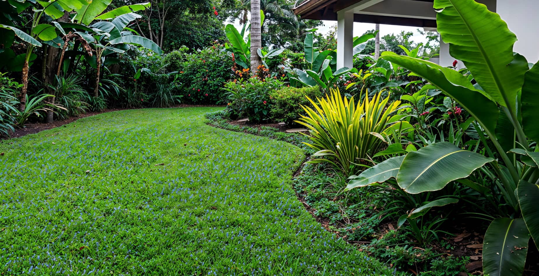 Testimonial Image - Landscaping X Webflow Template