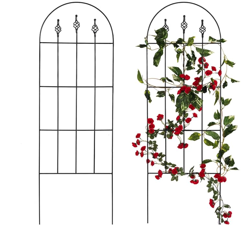 Decorative Metal Garden Trellis 48 Inch