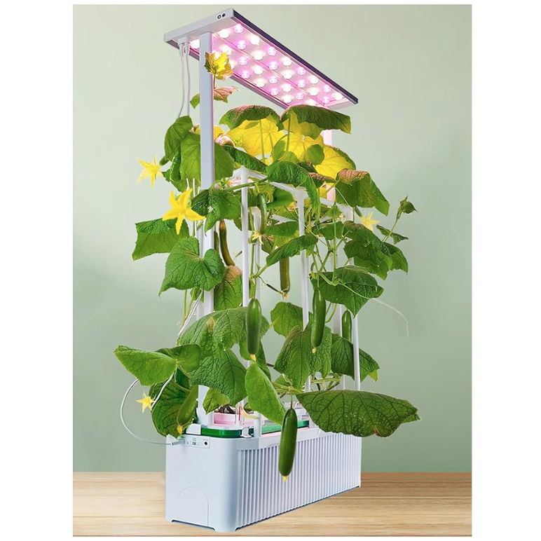Large Indoor Hydroponic Growing System with Trellis