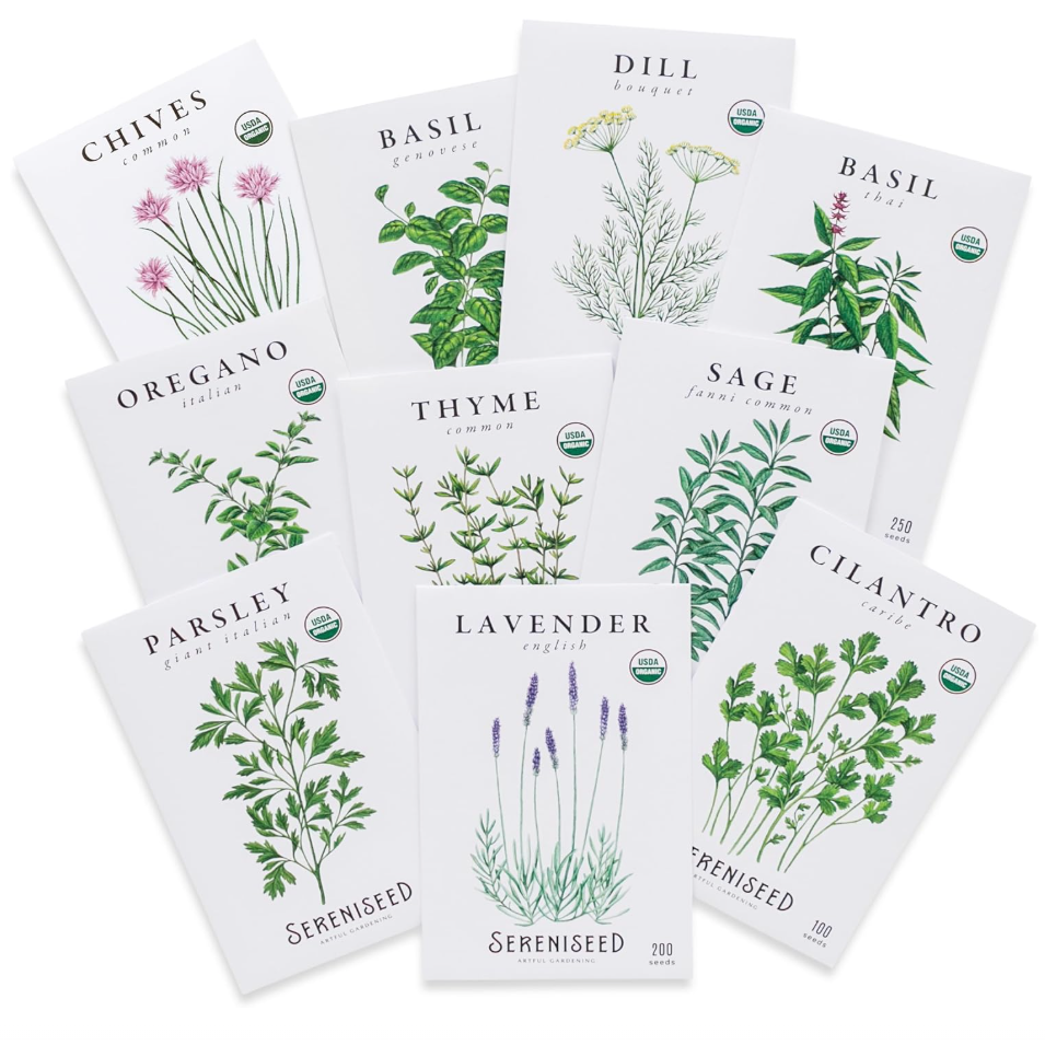 Organic Culinary Herb Seeds Variety Pack 10 Types