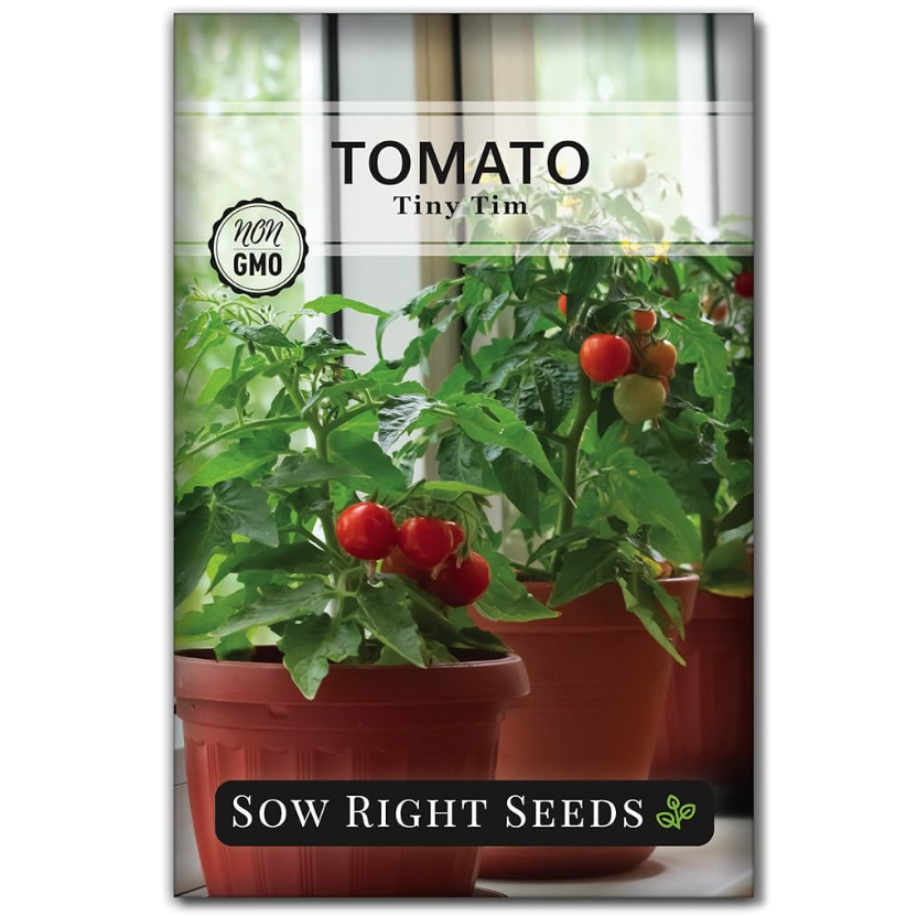 Tiny Tim Dwarf Tomato Seeds Heirloom