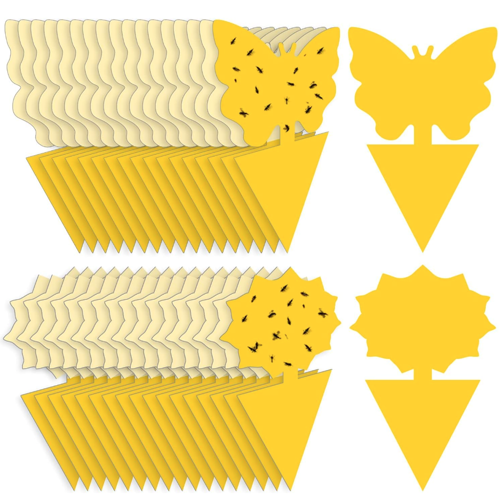 Yellow Sticky Gnat Traps