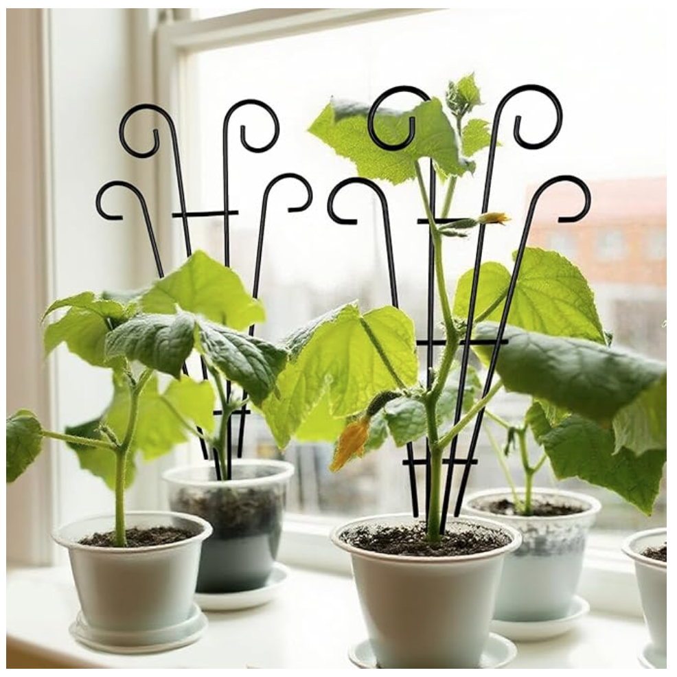 Wave-Style Metal Pot Trellis for Climbing Plants