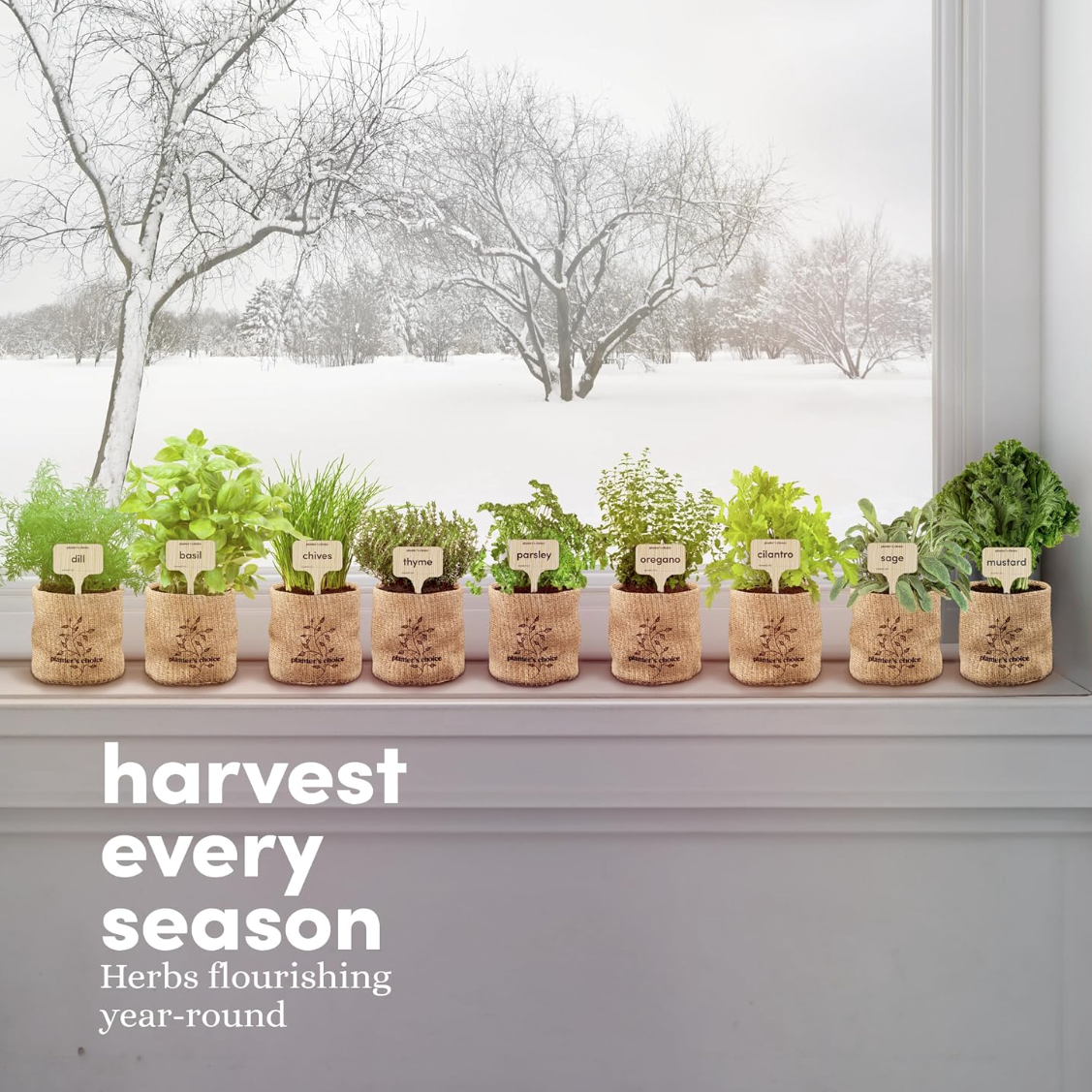 Indoor Herb Garden Seed Kit for Windowsills