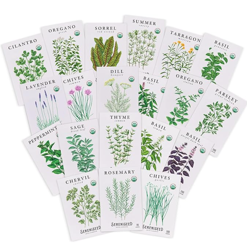 Organic Culinary Herb Seed Starter Pack