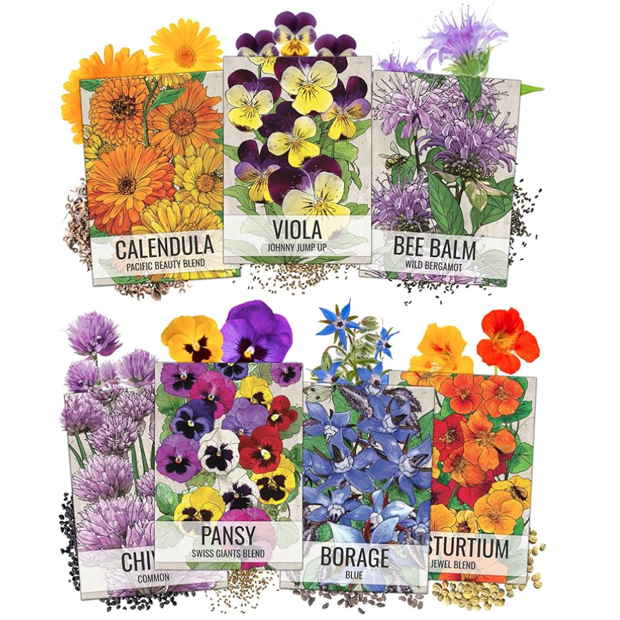 Edible Wildflower Seed Collection for Garden & Pollinators