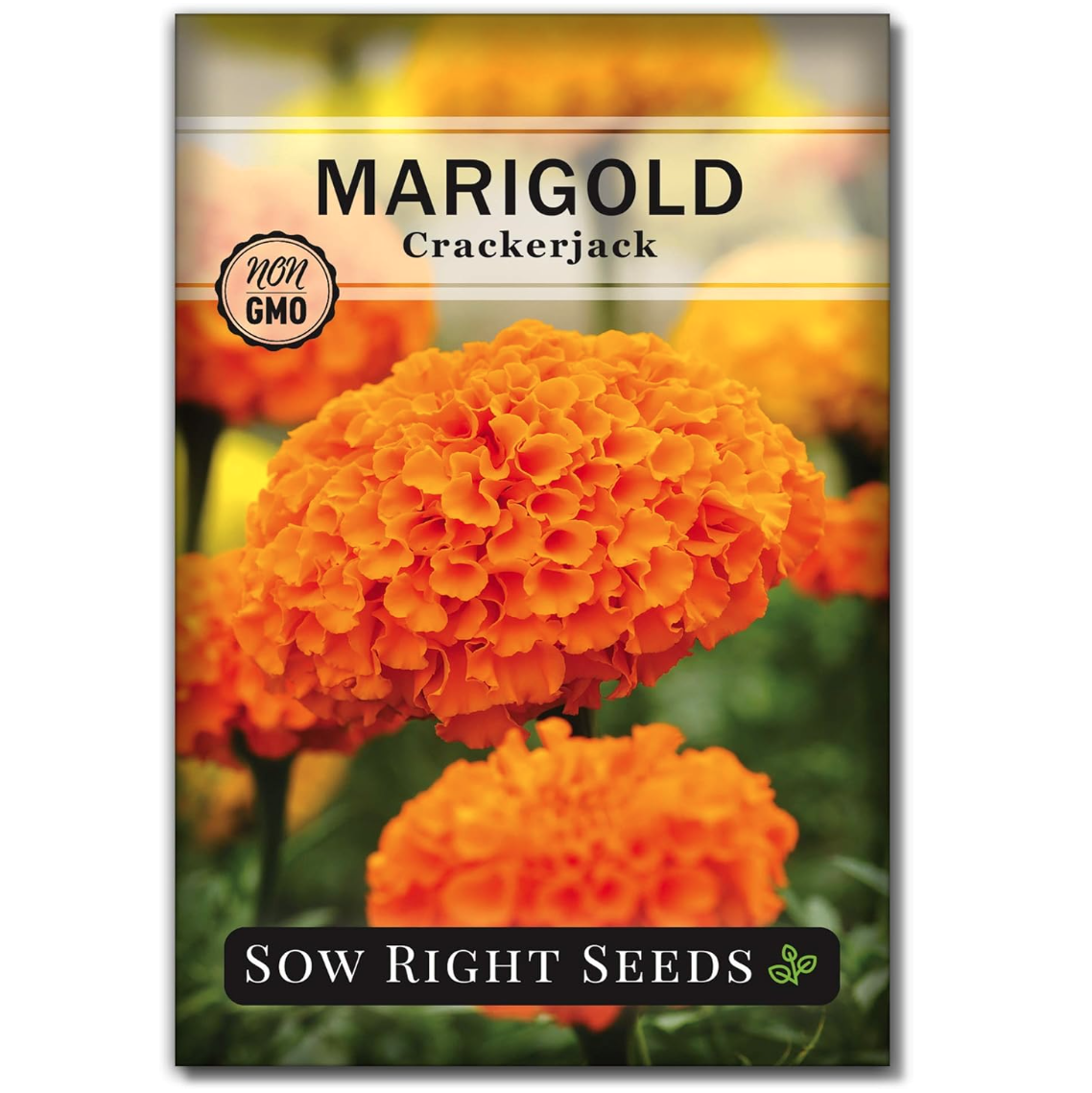 Crackerjack African Marigold Seeds