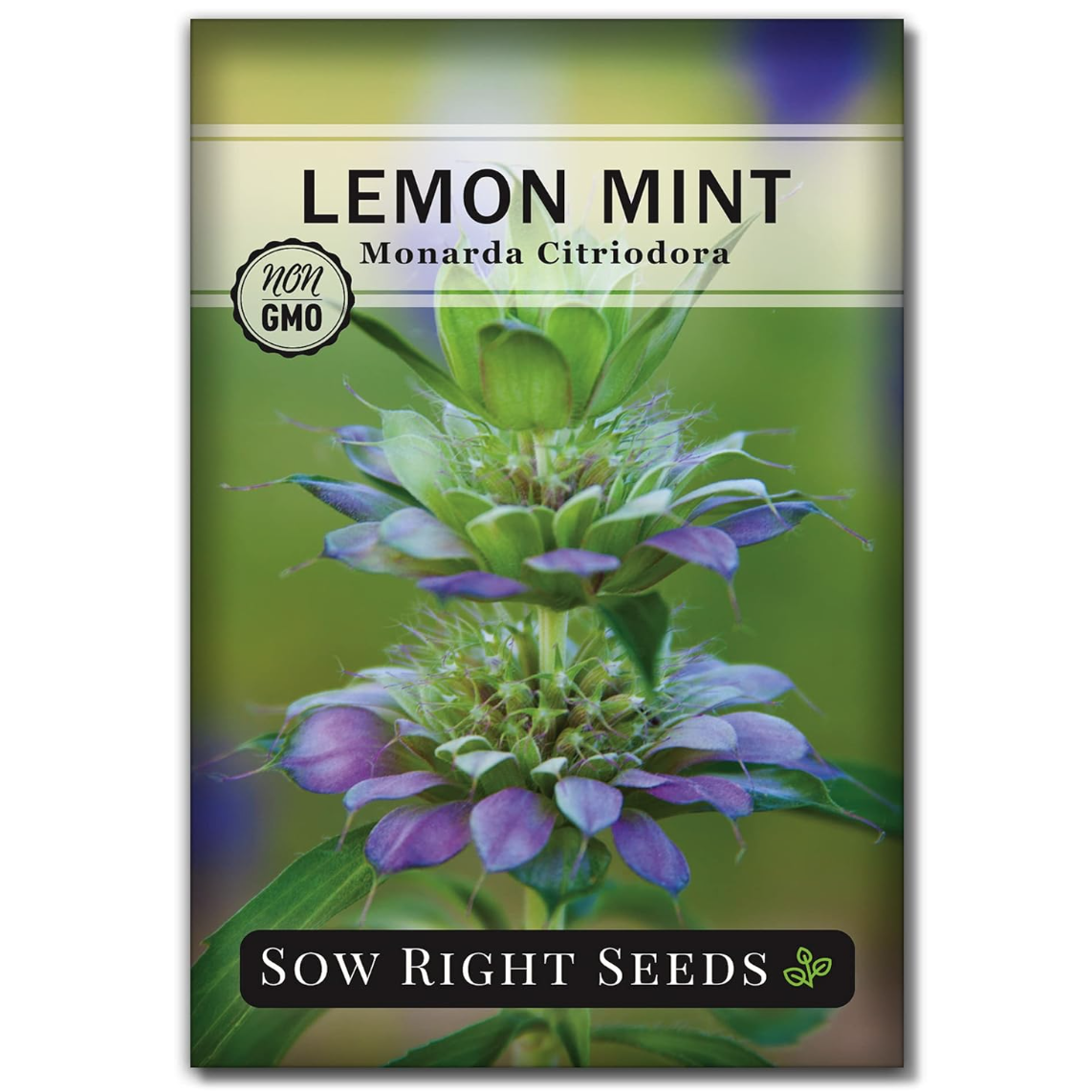 Lemon Mint (Monarda citriodora) Seeds