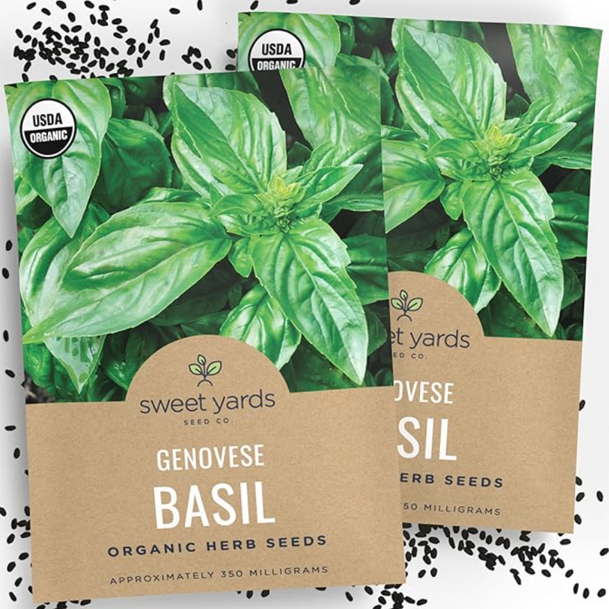 Genovese Basil Seeds (Sweet Yards, Organic)
