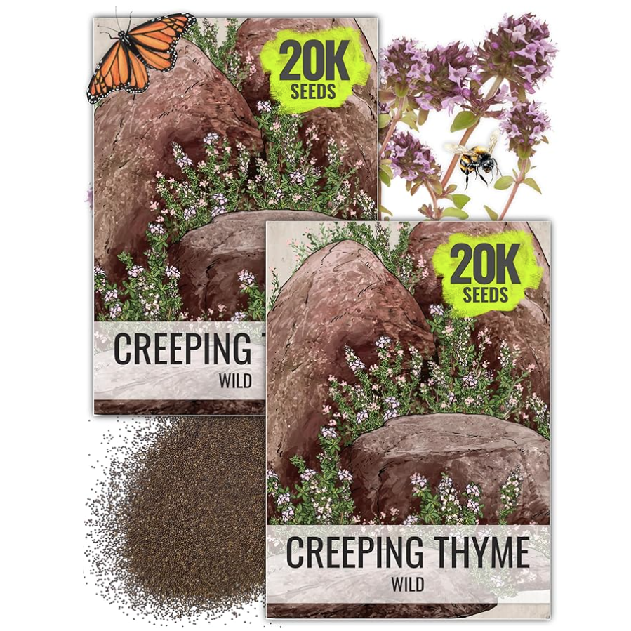 Wild Creeping Thyme Seeds