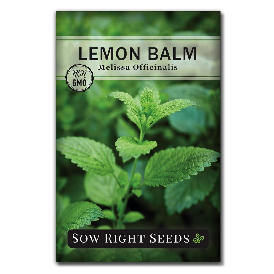 Lemon Balm