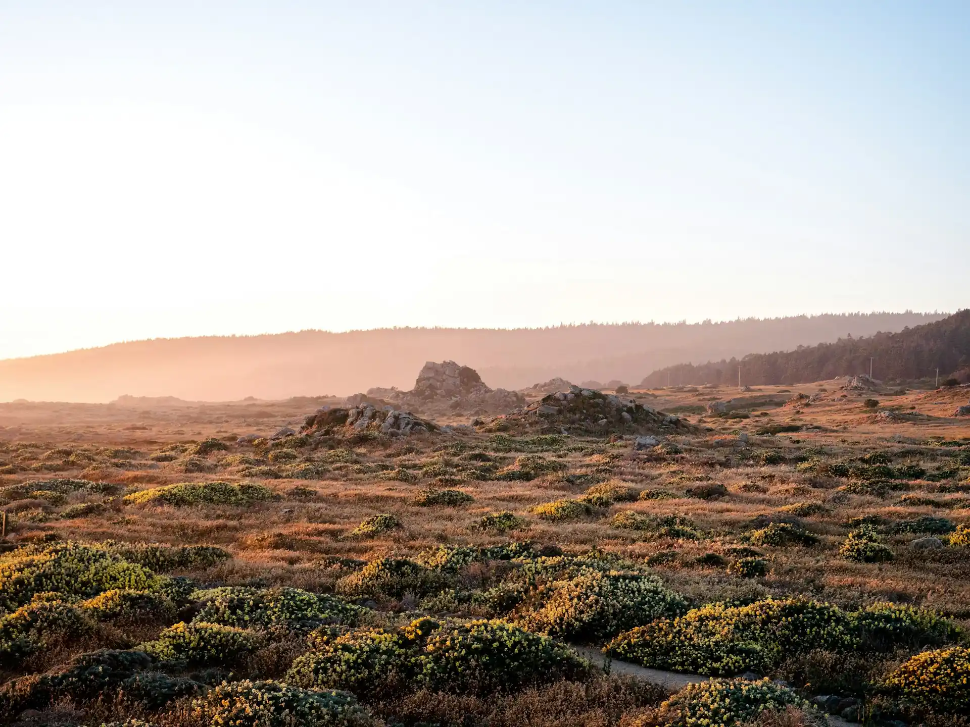 Image of the desert