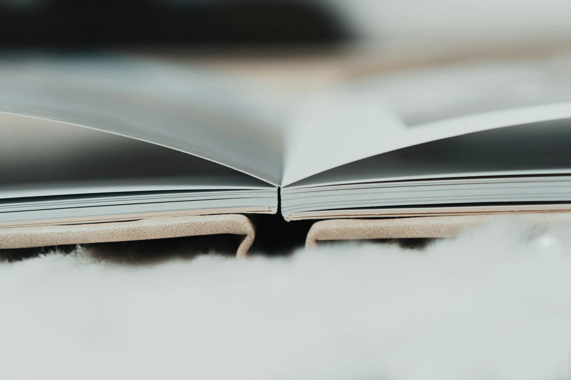 An image of the opened book