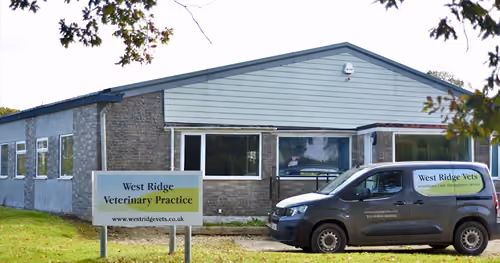Westridge Vets Winkleigh