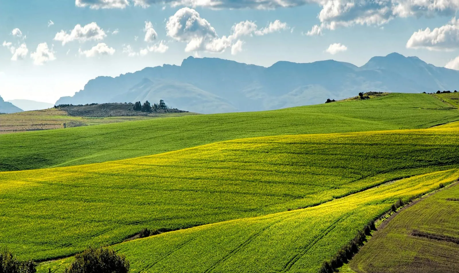 Farm countryside