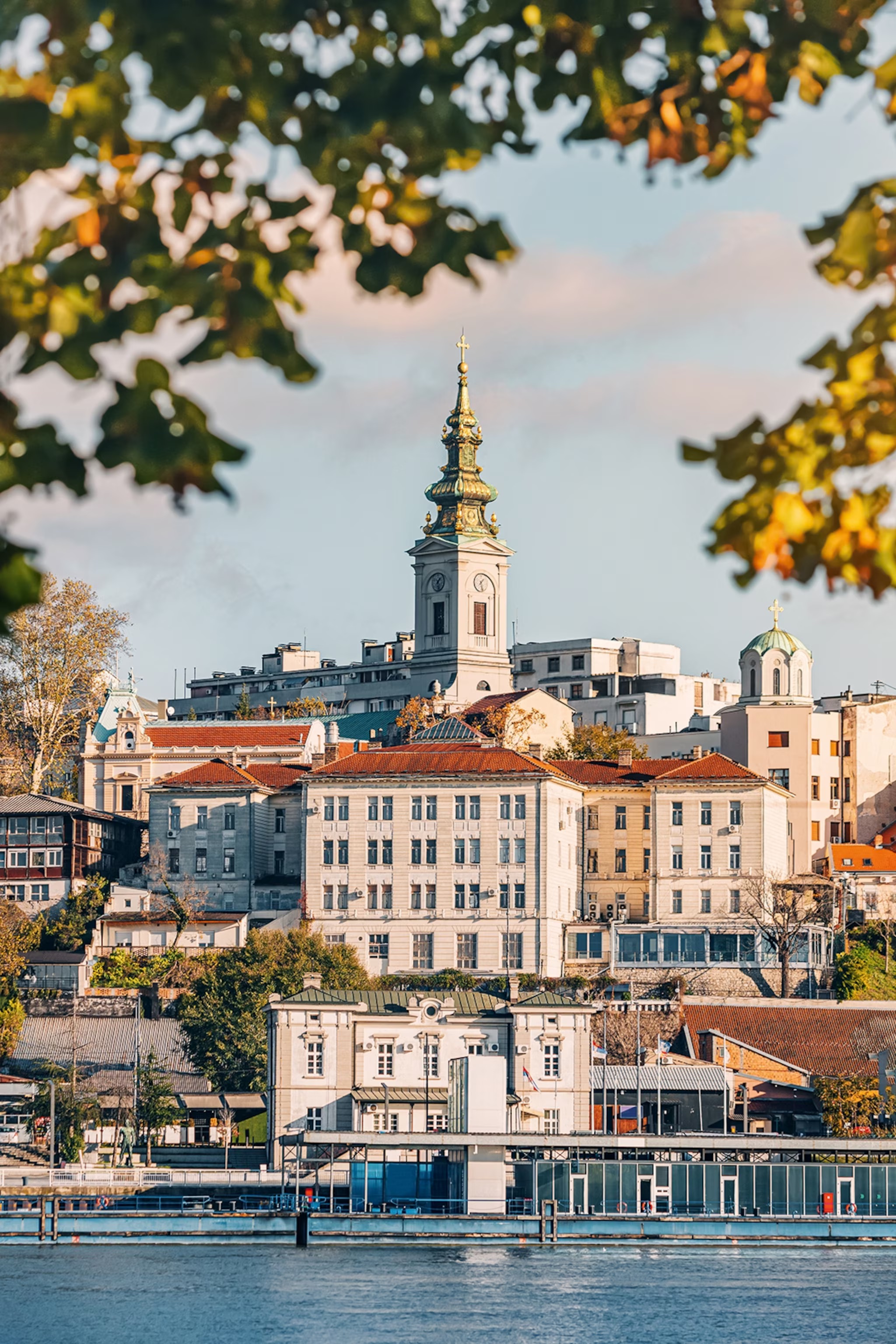 View of historic buildings and a church tower with a green and gold spire in Belgrade, framed by autumn foliage, by the river.