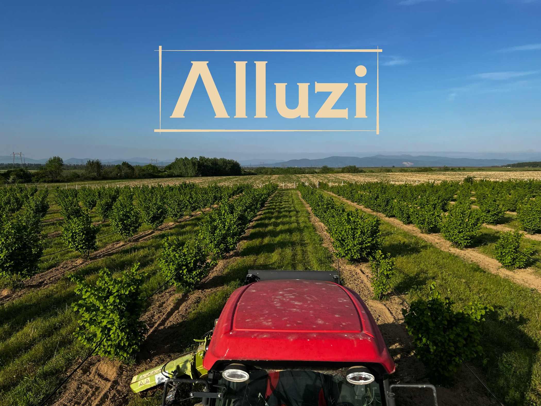 Alluzi