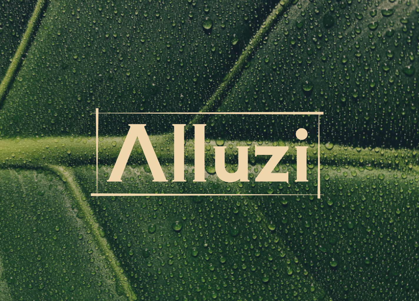 Branding 