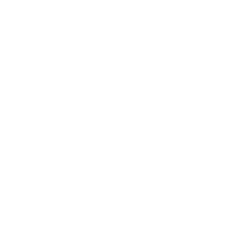 Custom Cursor Image