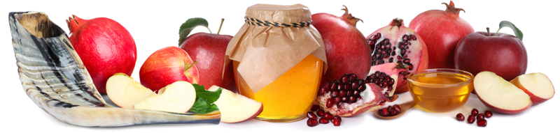 Rosh hashanah apples, honey, and pomegranates for Tashlich with Congregation Beth Yeshurun
