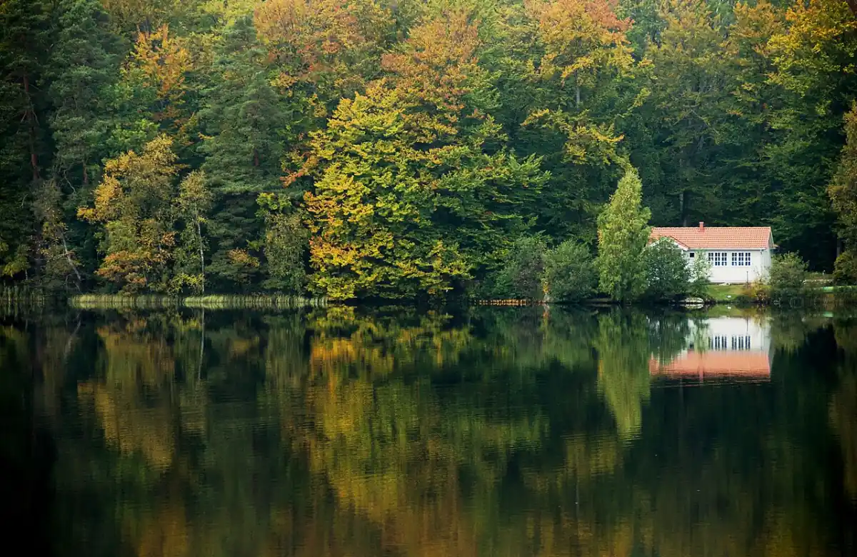 Sjö i Blekinge med skogsbryn och hus vid vattnet