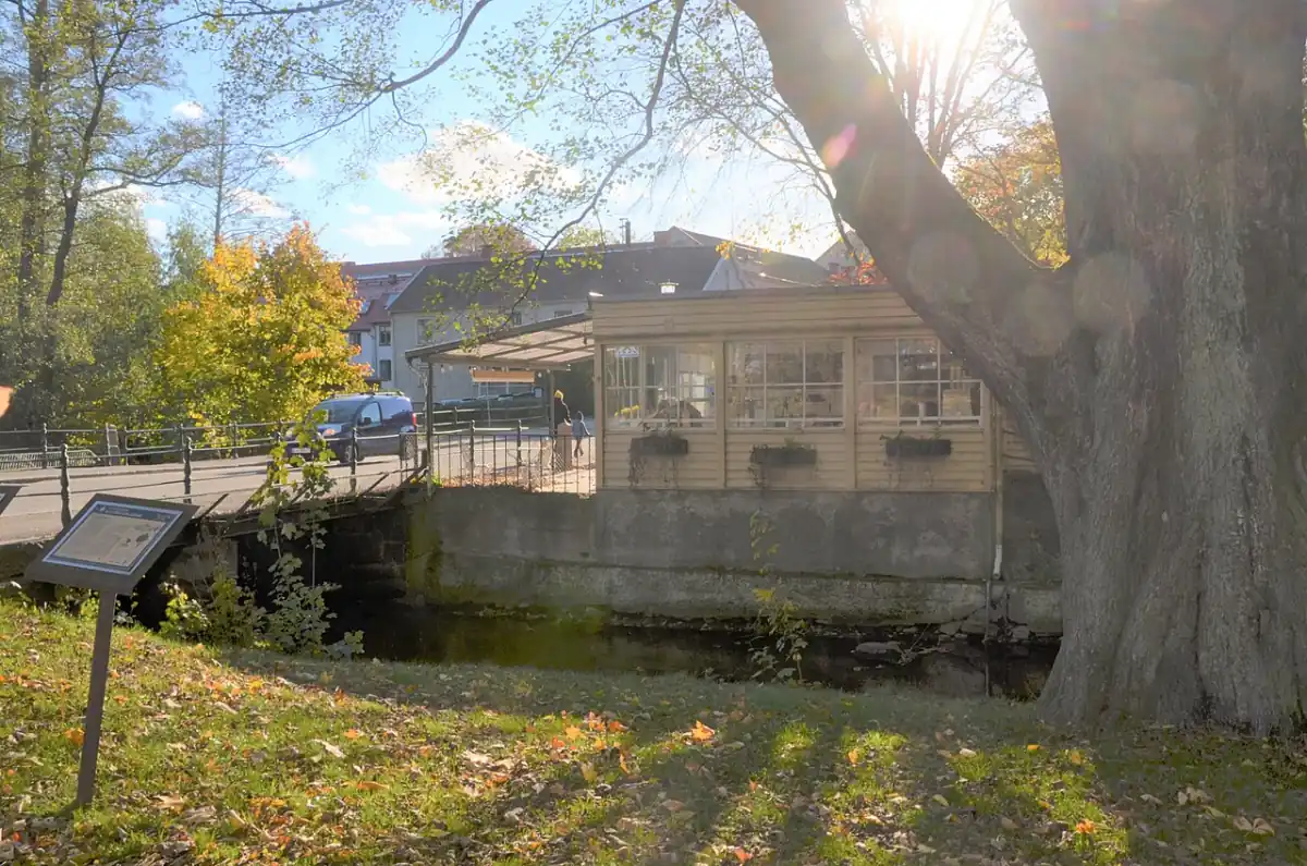 Vattennära byggnad i Hjo med park och stort träd