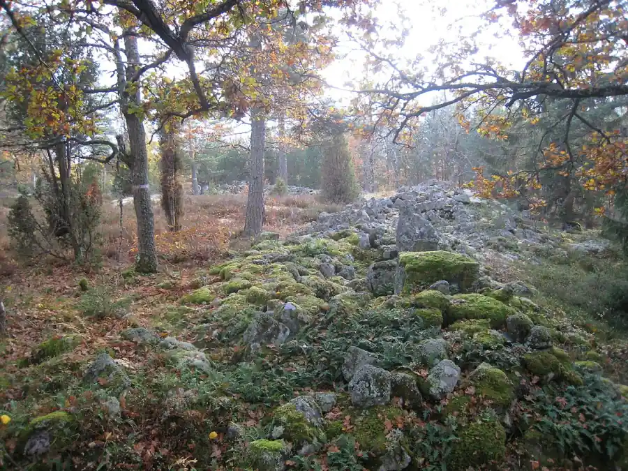 Stenig naturmiljö i Jämjö med träd och mossmark