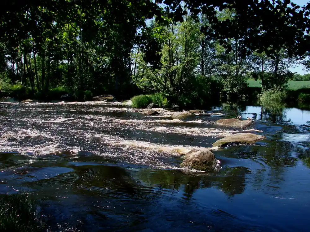 Vattendrag i Mörrum med fors och träd