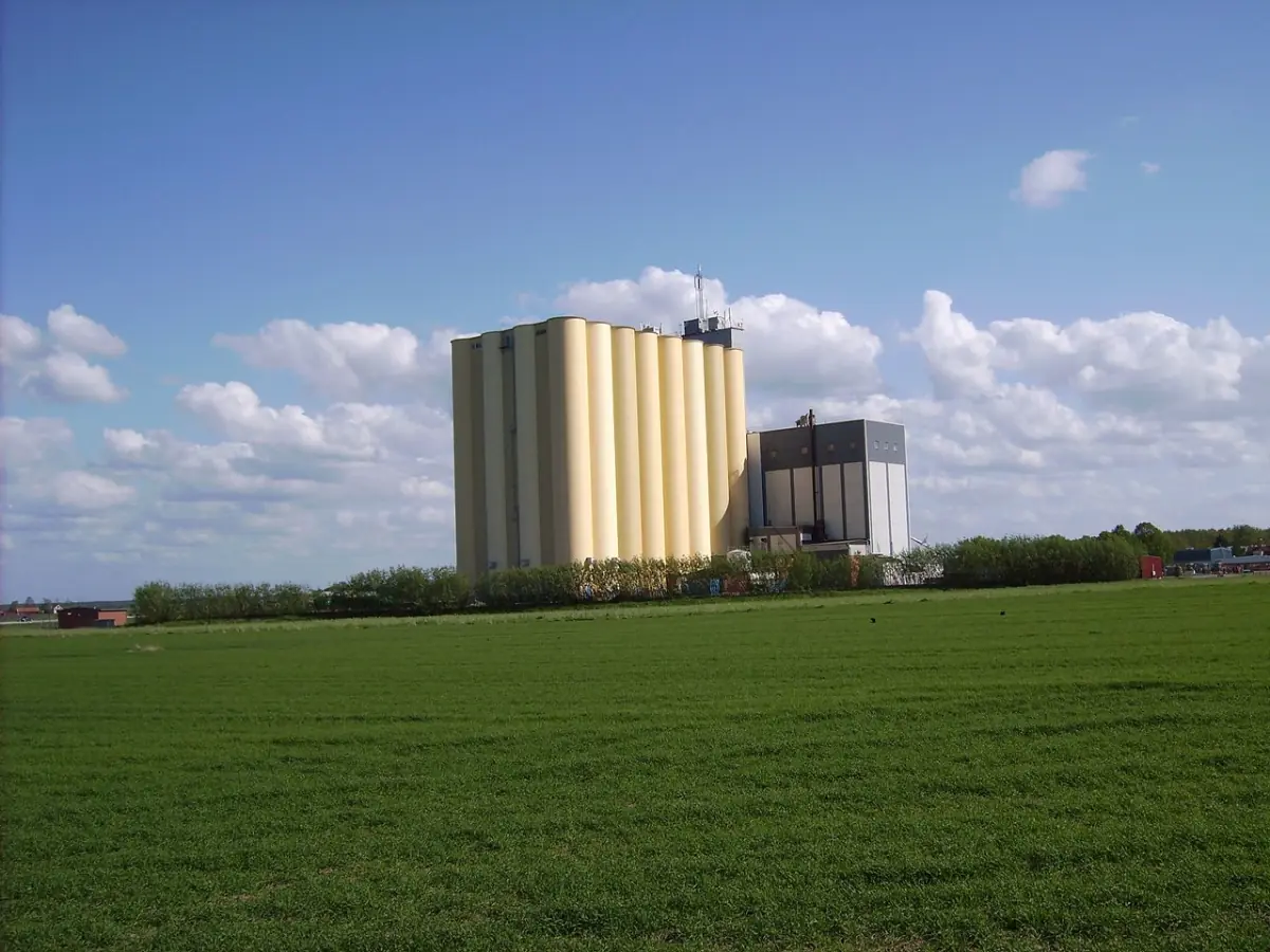 Silor i Skänninge omgivna av öppna fält