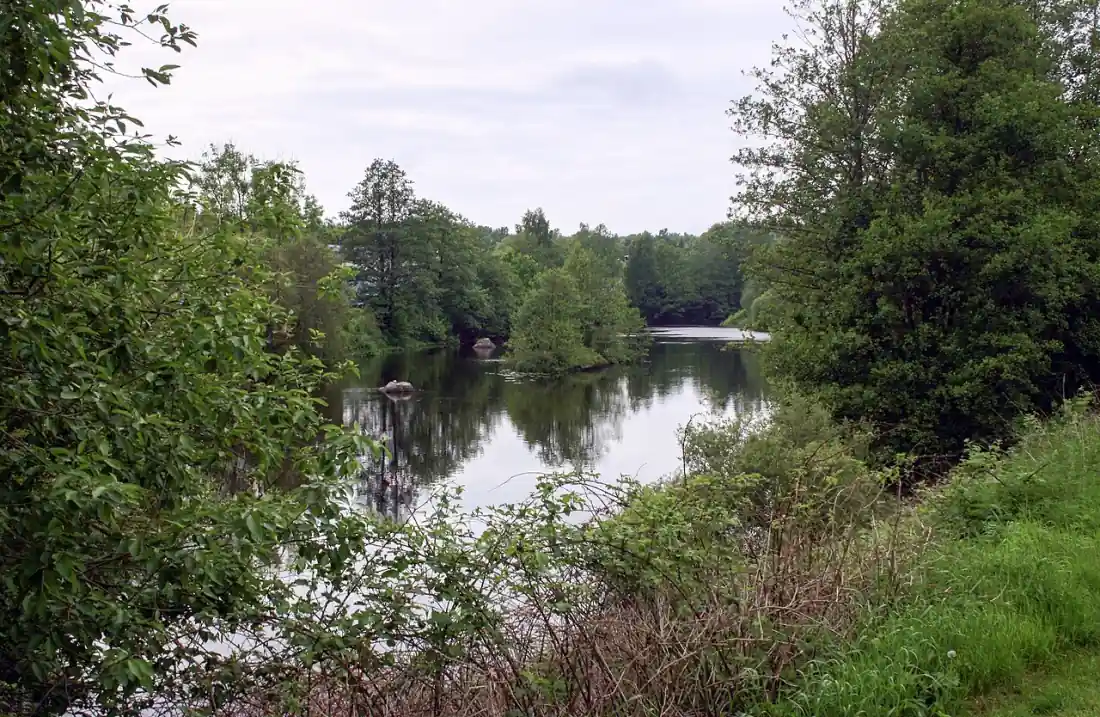 Åmiljö i Svängsta med grönska och stilla vatten