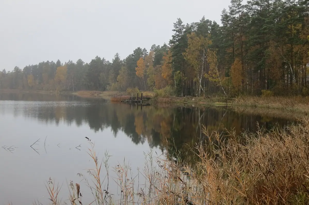 Sjö i Tingsryd med skogskant och spegling
