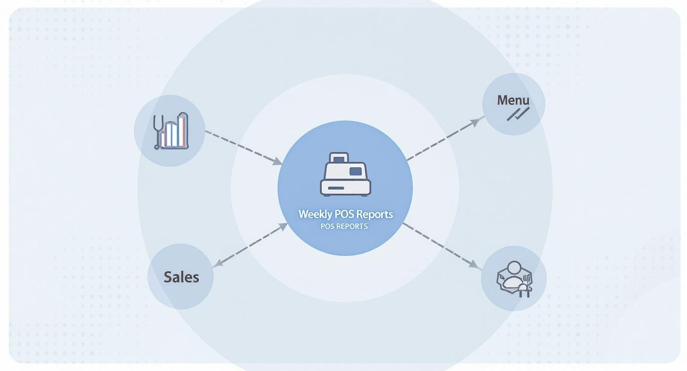 Infographic about point of sales report