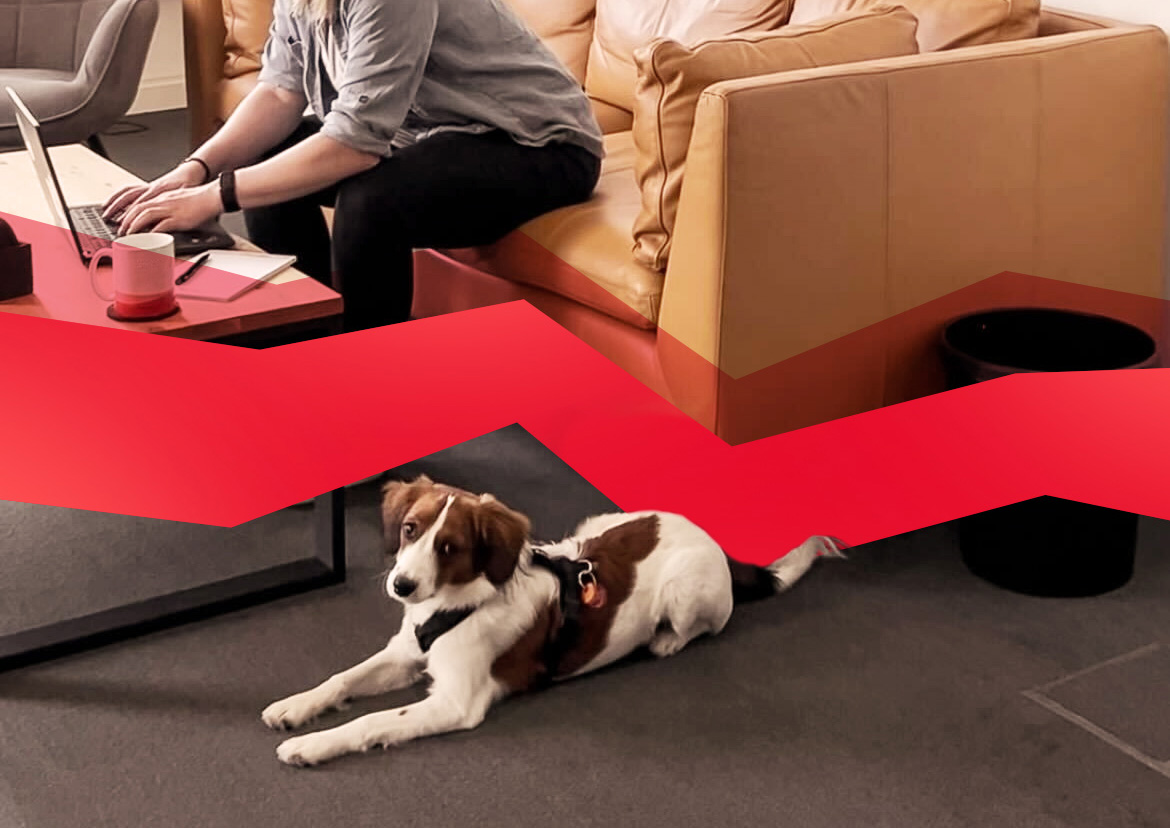 Dog-friendly Workplace