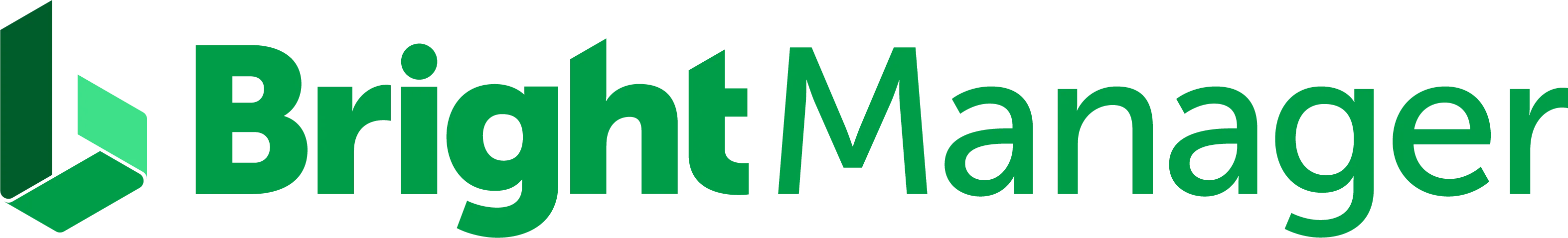 Bright Manager Logo