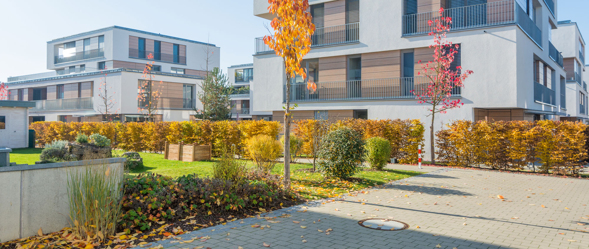 Herbstlaub entfernen