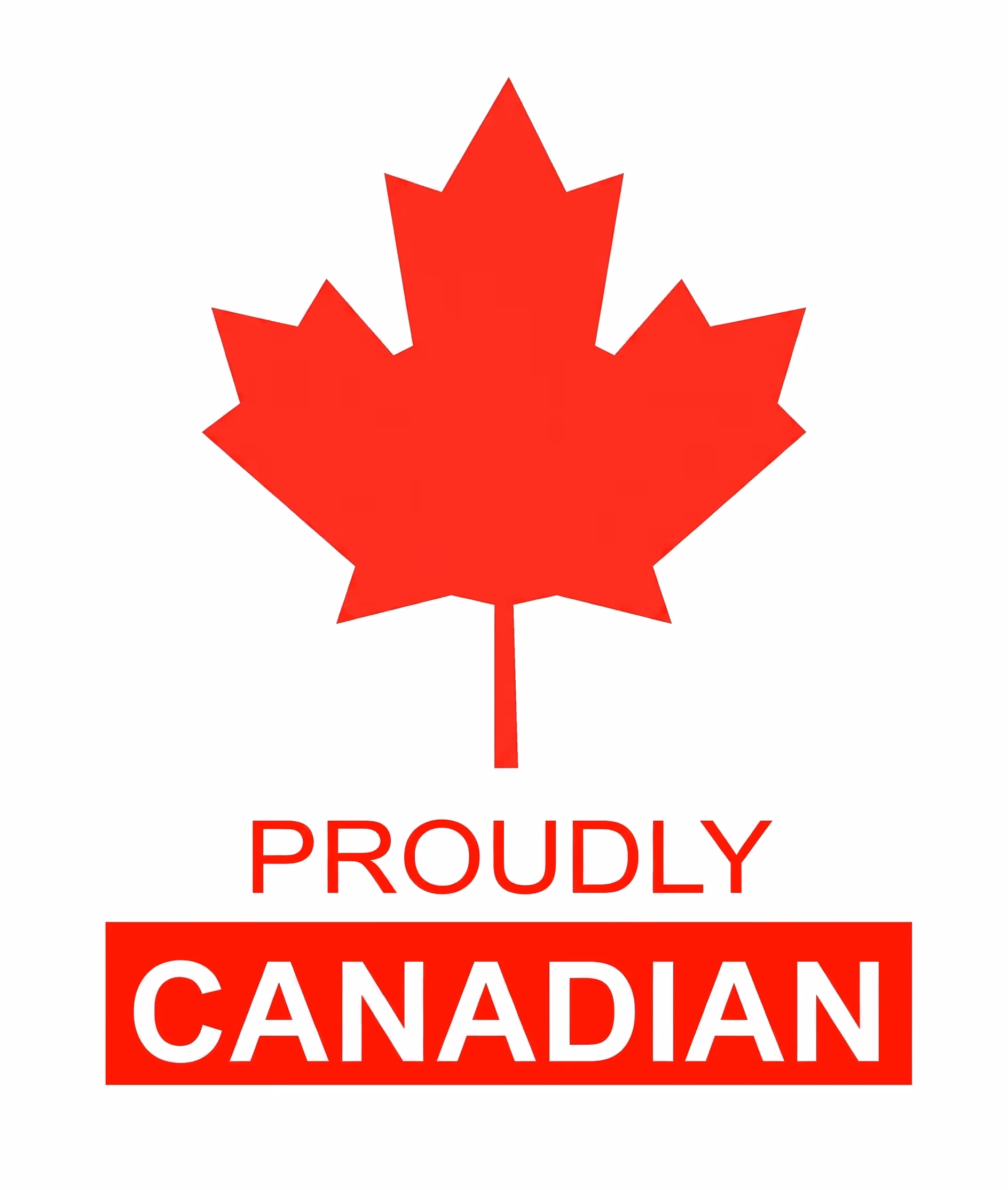 Mehmi Financial Group a Canadian Company