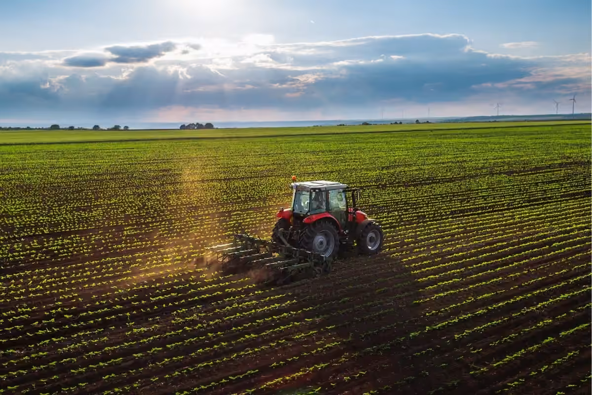 Red tractor working on a green crop field under a partly cloudy sky with sun rays.