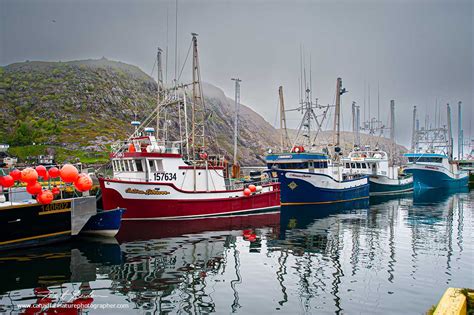 Newfoundland 2024 by R. Berdan - The Canadian Nature Photographer