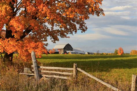 Agriculture Business Resources | City of Kawartha Lakes