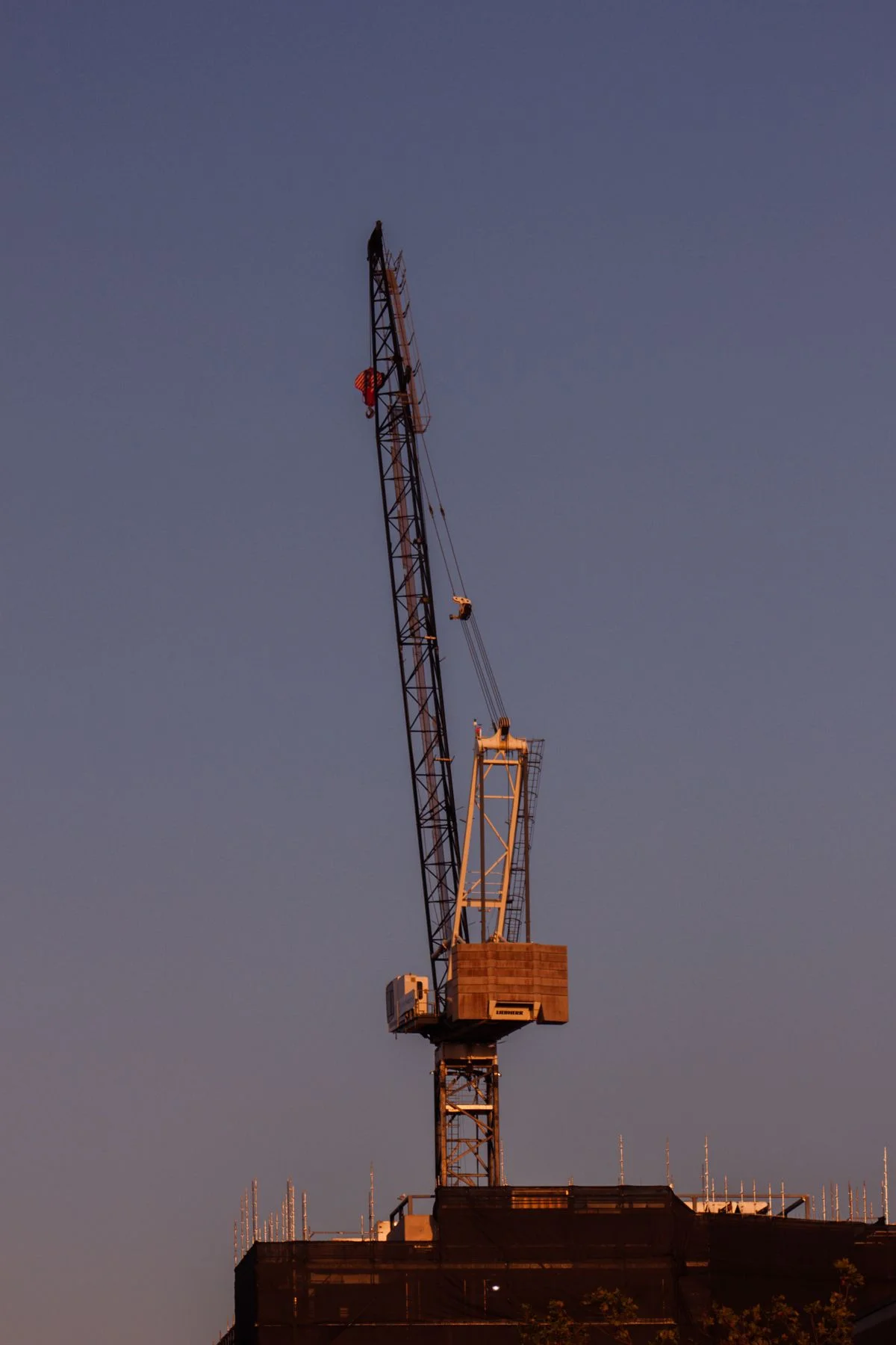 Cranes